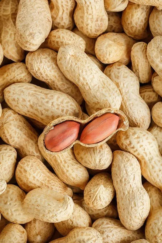 Groundnut Kernels